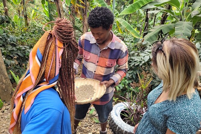 Organic Coffee Tour and Local Food Experience in Arusha - Who this tour is best for