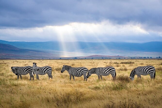 Outstanding day trip to Tarangire National Park - Why Tarangire Works as an Arusha Day Trip
