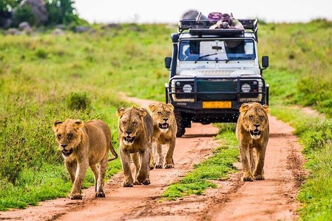 Outstanding day trip to Tarangire National Park - Your One Big Destination: Tarangire National Park
