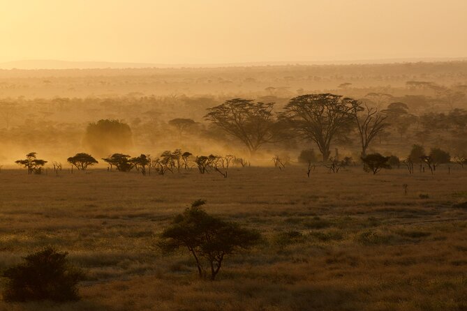 Outstanding day trip to Tarangire National Park - Elephants and Antelope: What You’re Most Likely to See