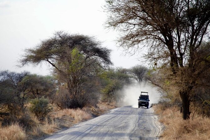 Outstanding day trip to Tarangire National Park - 6:00 AM Pickup, 10 Hours, and a Small-Group Safari Pace