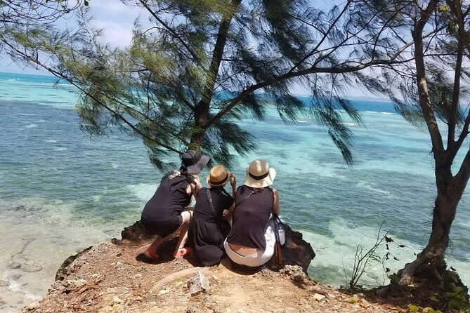 Prison Island And Nakupenda Sandbank Excursion - Price and value: is $110 reasonable for two stops?