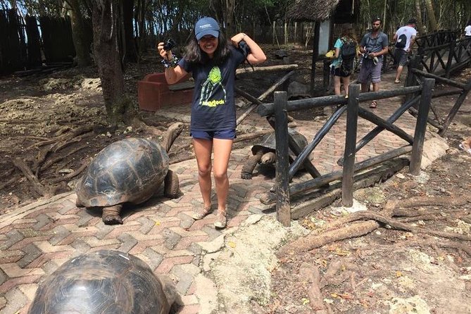 Prison Island and Stone Town Private Tour - Prison Island, Changuu: Aldabra giants and the prison ruins