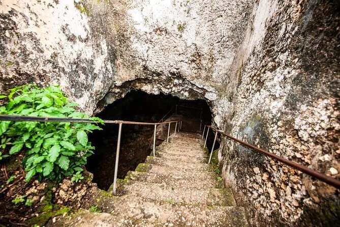 Prison island(Changuu island) & stone town walking tour - Time, pace, and what to expect on the ground