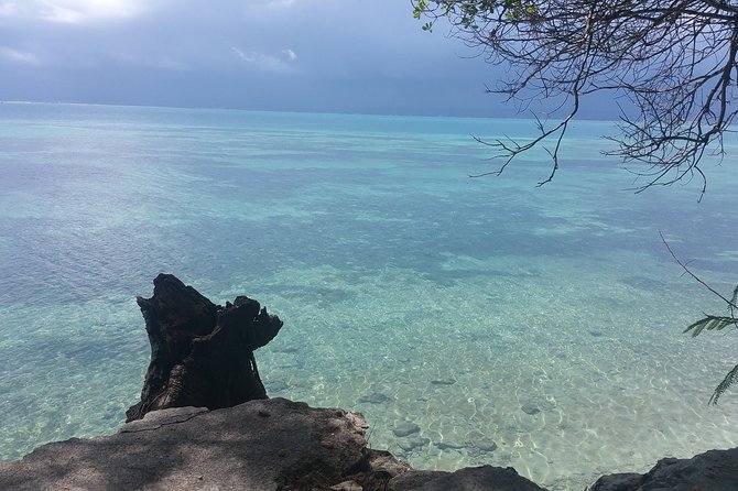 Prison Island Half-Day Tour from Zanzibar - The Island’s Yellow Fever Quarantine History and Dark Past Context