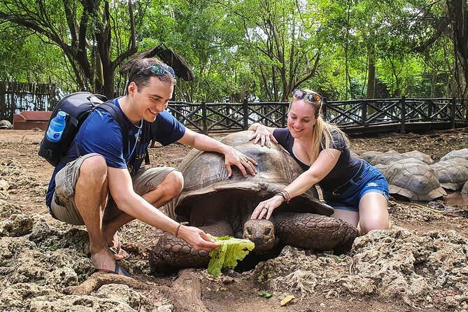 Prison Island & Nakupenda SandBank (Boat Trip) - Prison Island (Changuu): Aldabra Tortoises and the Old Prison