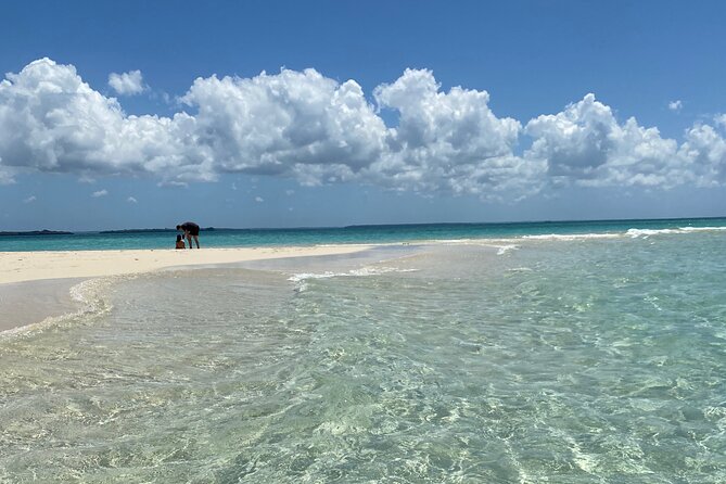 Prison Island + Nakupenda Tour - Prison Island (Changuu): Tortoises, Low Tide Sand, and Easy Water Time
