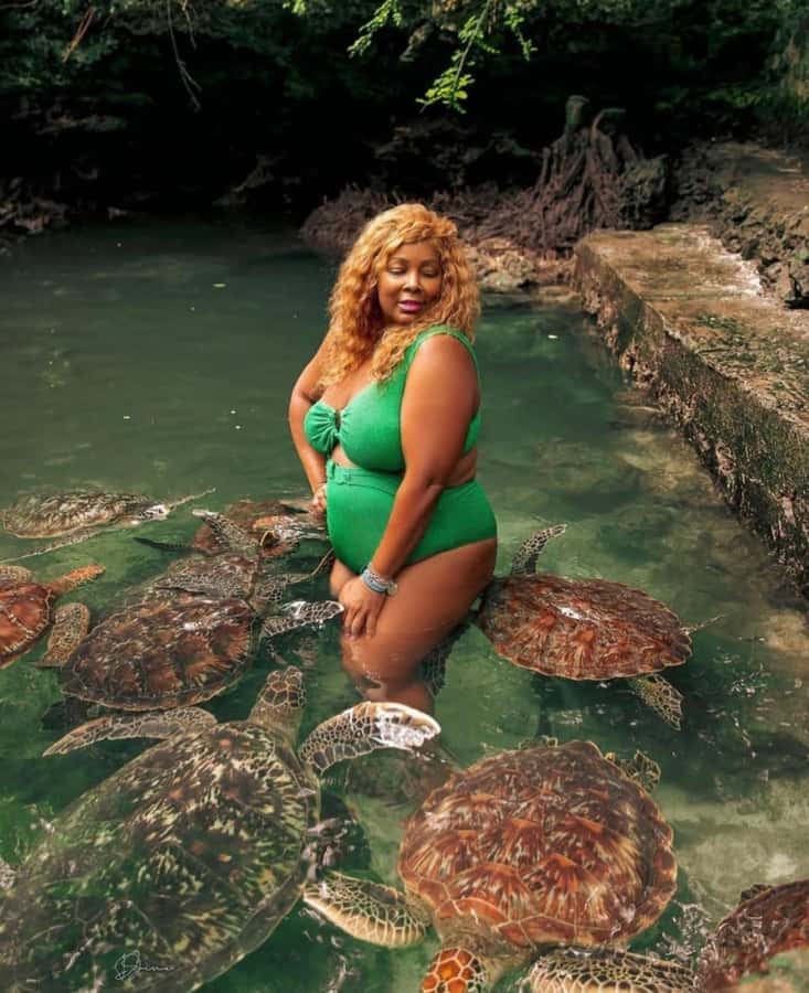 Prison Island, Sea Turtles, Rock Restaurant & Relax in Beach - Key things to know before you go