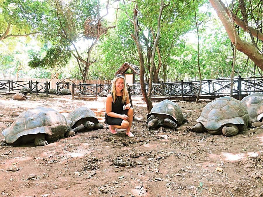 Prison Island, Sea Turtles, Rock Restaurant & Relax in Beach - The Rock Restaurant: Ocean Views, Fresh Seafood, and Reservations
