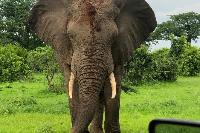 Private 3 Days 2 Nights Mikumi Adventures - Mikumi National Park safari focus: plains, predators, and big animals