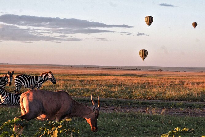 Private 4-Days Northern Circuit National Parks in Tanzania - Price, value, and what $2,575 really covers
