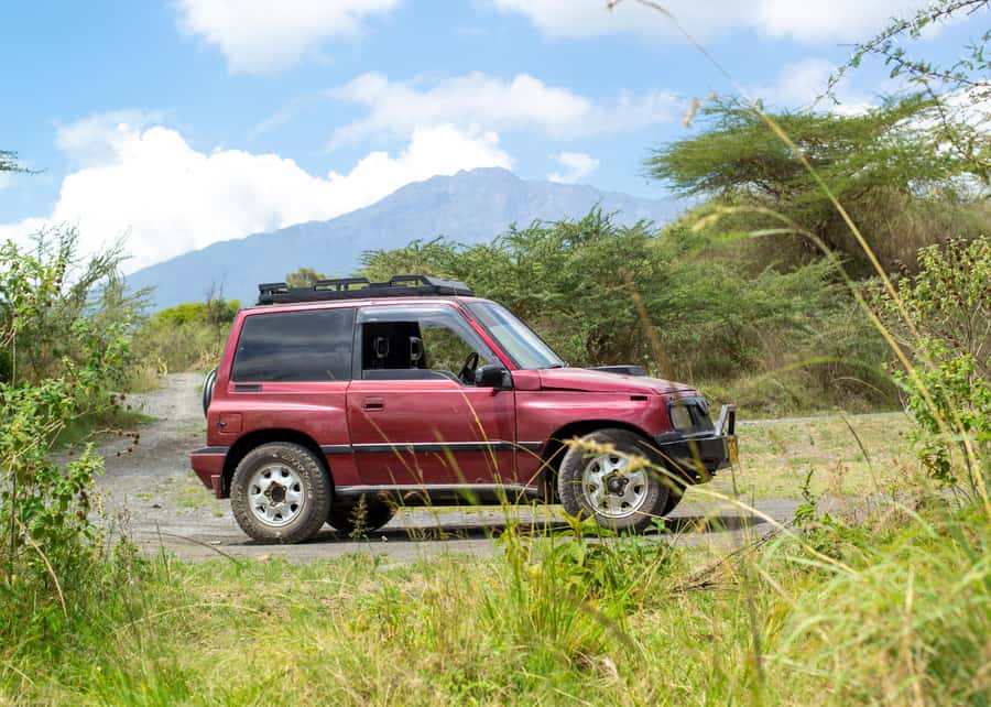 Private 4x4 Vitara Safari in Arusha National Park - Sundowner optional, elephants at watering holes