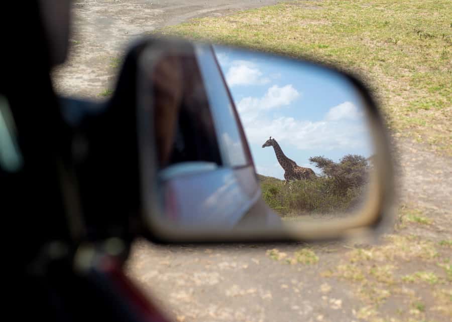 Private 4x4 Vitara Safari in Arusha National Park - How guides like Didas help your photos and your focus