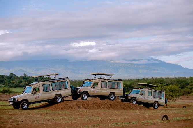 Private 5-Days Serengeti Trails with Kojuu Safaris - Who this safari suits best, and what to watch for