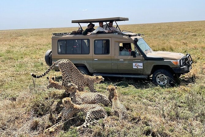Private 6-Day Tarangire Manyara Crater and Serengeti with Mid-Range Lodges - Lake Manyara finale: tree-climbing lions and a bird-heavy shore