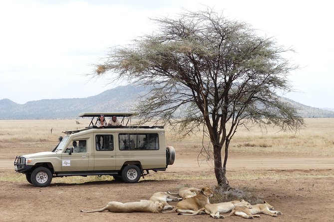 Private 6-Day Tarangire Manyara Crater and Serengeti with Mid-Range Lodges - Price and what you really pay for at $2,685 per person