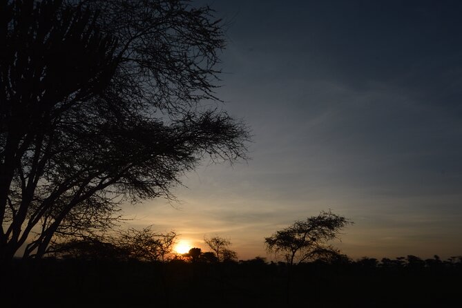 Private 7-Day Tanzania Camping Safari - Camping, meals, and the behind-the-scenes stuff that makes or breaks days