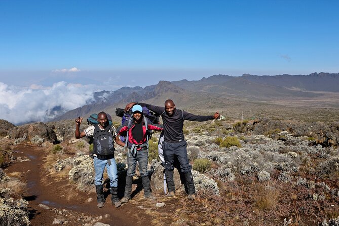 Private 8 day Northern Circuit Kilimanjaro Climb - Day 1: Londorossi Gate to Mti Mkubwa, Where the Mountain Introduces Itself