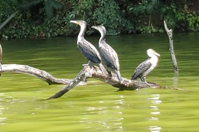 Private Canoe or Hike Tour on Lake Duluti - Lake Duluti in one memorable half-day