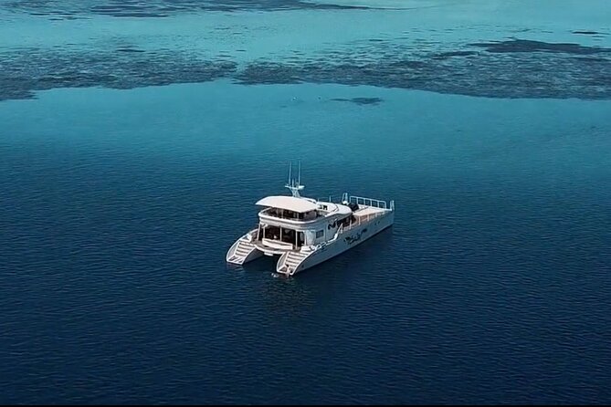 Private Catamaran - Stone Town Islands & Sandbanks (5 hrs) - Food and Drinks: The Reason People Keep Recommending This Trip
