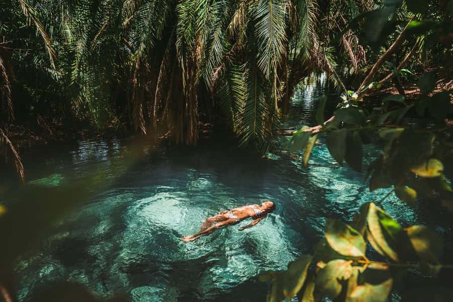 Private Chemka/Kikuletwa hotsprings with lunch & drinks - Key things that make this hot springs day worth it