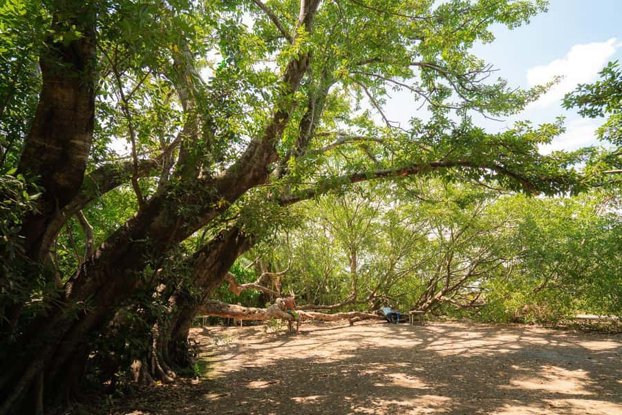 Private Chemka/Kikuletwa hotsprings with lunch & drinks - What to bring, what rules matter, and comfort tips that help