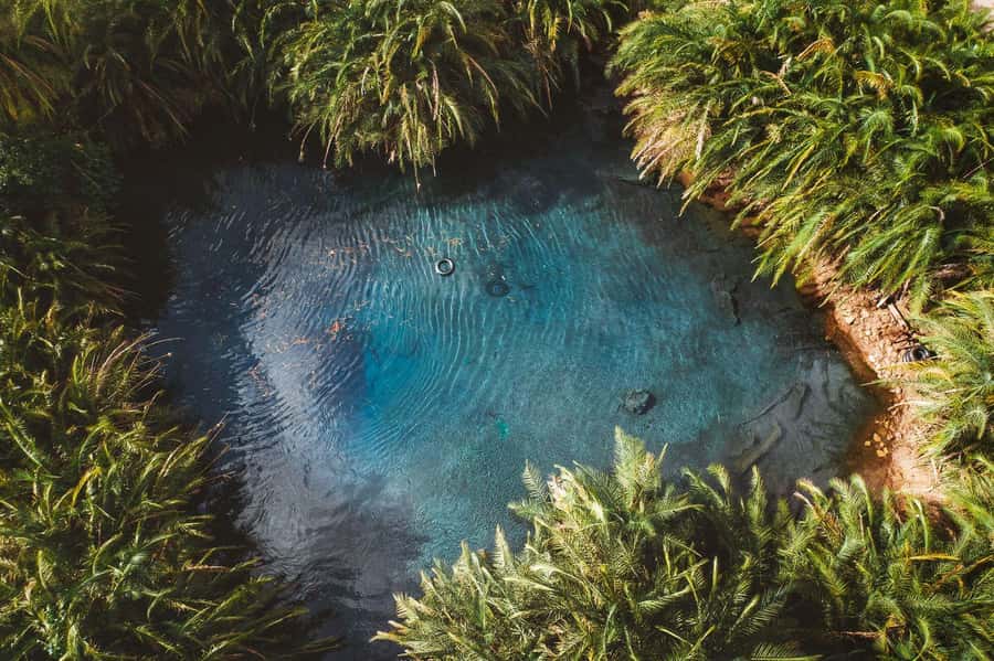 Private Chemka/Kikuletwa hotsprings with lunch & drinks - Bomang’ombe to the springs: countryside notes you’ll actually enjoy