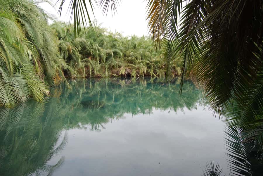 Private Chemka/Kikuletwa hotsprings with lunch & drinks - Lunch, drinks, and how to pace an 8-hour hot springs day