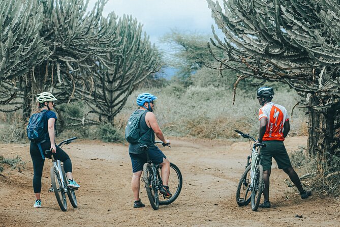 Private Cycle to Kilimanjaro Bike Park Safari - Quick hits