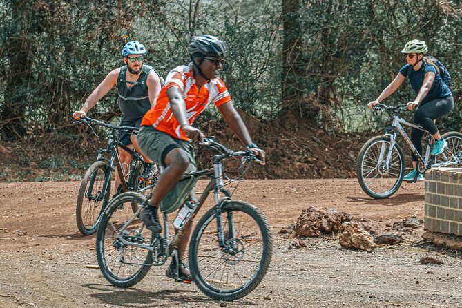 Private Cycle to Kilimanjaro Bike Park Safari - What This Kilimanjaro Bike Safari Really Feels Like