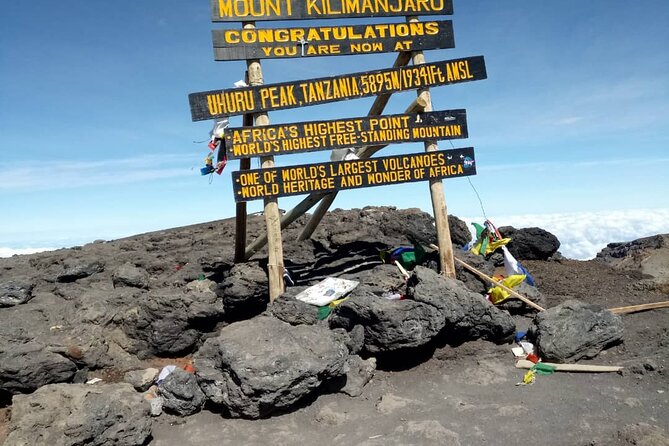 Private Day Tour and Hike in Kilimanjaro National Park - Key things that make this Kilimanjaro day hike worth it