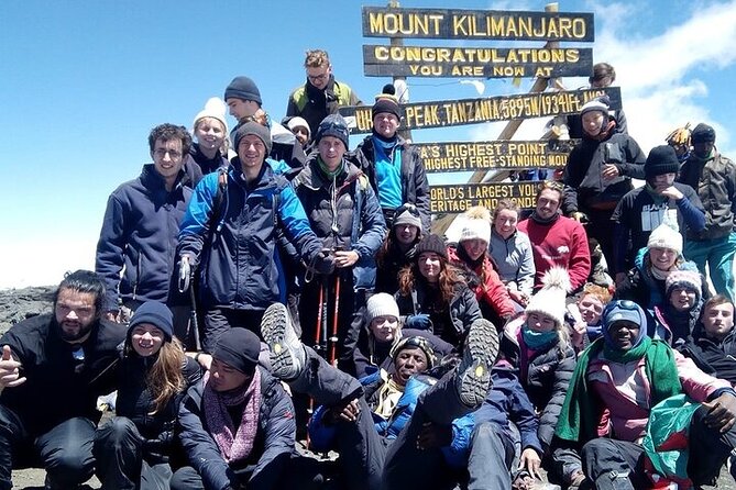 Private Day Tour Kilimanjaro Hike - The Real Appeal of a Kilimanjaro Day Hike to Mandara Hut