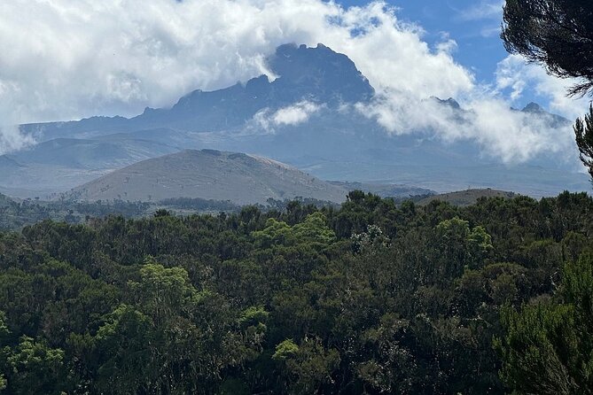 Private Day Tour Kilimanjaro Hike - Descending Back to Marangu Gate: When the Day Becomes Smooth