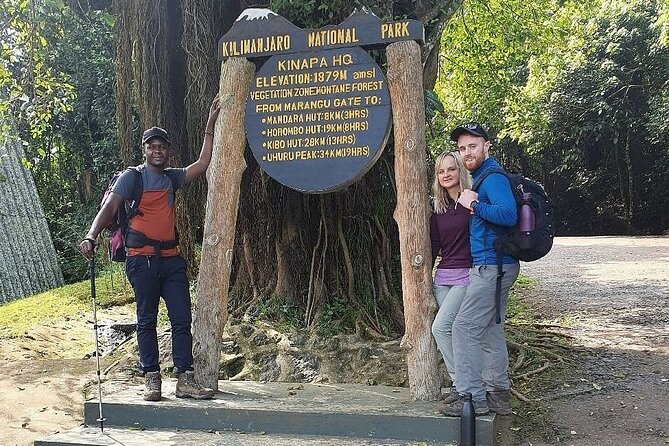 Private Day Tour Kilimanjaro Hike - The Marangu Route From the Gate: What Your Walk Feels Like