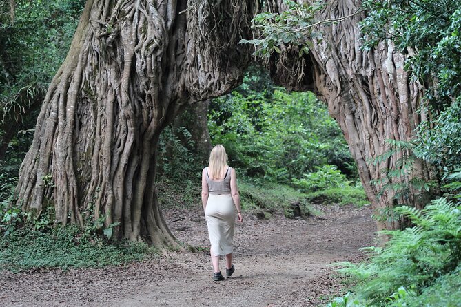 Private Day Trip to Arusha National Park with a Walking Safari - Included extras: lunch, water, and fewer headaches