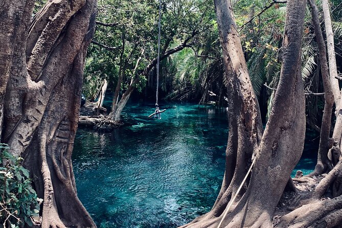 Private Day Trip to Kikuletwa Hot Springs in Kilimanjaro - Lunch at the Springs: The Included Meal That Makes It Feel Like a Full Day