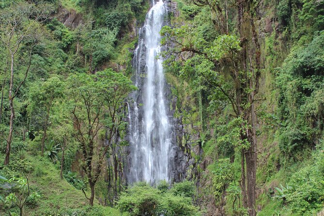 Private Day Trip to Materuni Waterfall and Coffee Tour - Key highlights at a glance