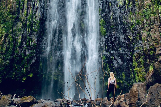 Private Day Trip to Materuni Waterfall and Coffee Tour - Coffee tour after the waterfall: from plantation walk to your own cup