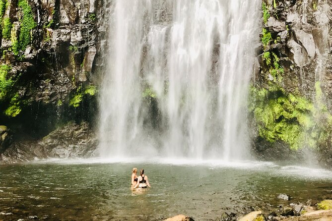 Private Day Trip to Materuni Waterfall and Coffee Tour - Best fit: who this Materuni and coffee day trip suits best