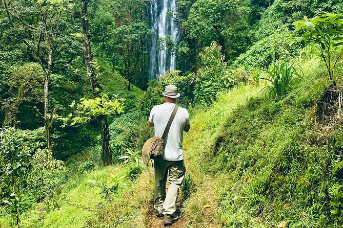Private Day Trip to Materuni Waterfall and Coffee Tour - Stop 1: Materuni Waterfall hike, village walk, and the swim choice