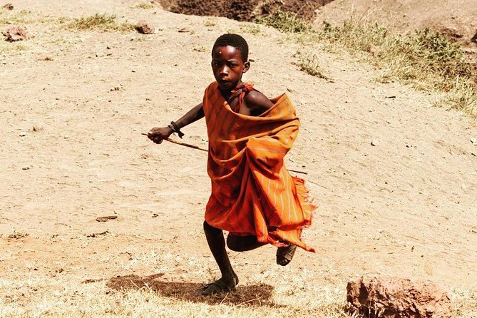 Private Day Trip to Ngorongoro Crater - The crater experience: 600 meters down into wildlife country