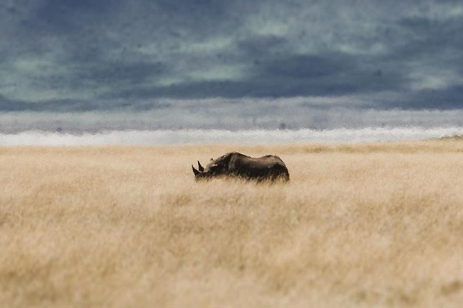 Private Day Trip to Ngorongoro Crater - Lodware Ngorongoro gate: the practical “first look” stop