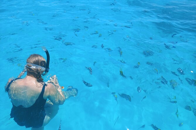 Private Dolphin Tour and Snorkeling at Mnemba Island reef - What to pack and how to plan your morning for a smooth half-day