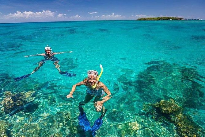 Private Dolphin Tour and Snorkeling at Mnemba Island reef - Should you book this private dolphin and Mnemba Reef tour?