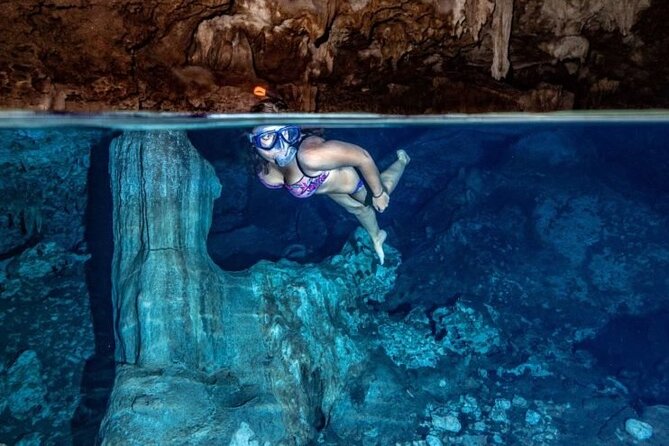 Private Full-Day: Dolphin & Monkey Jungle Adventure - A full-day route that actually makes sense in Zanzibar