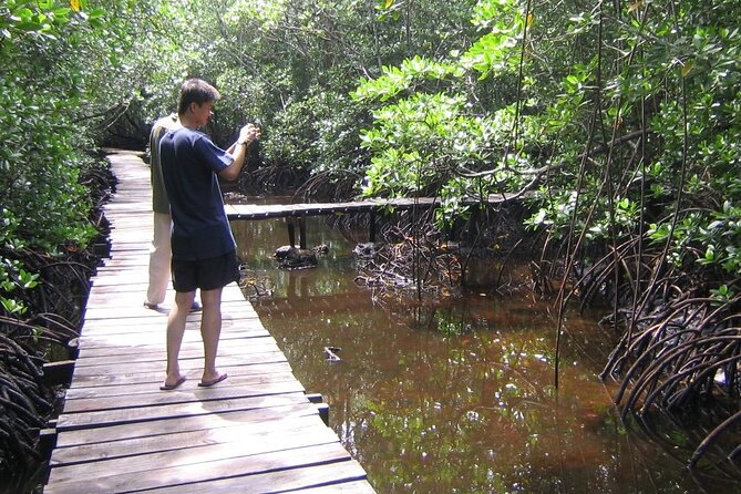 Private Full-Day: Dolphin & Monkey Jungle Adventure - Kuza Cave: Swahili culture and the big story under Zanzibar