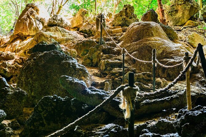 Private Full-Day: Dolphin & Monkey Jungle Adventure - Logistics that make or break the day
