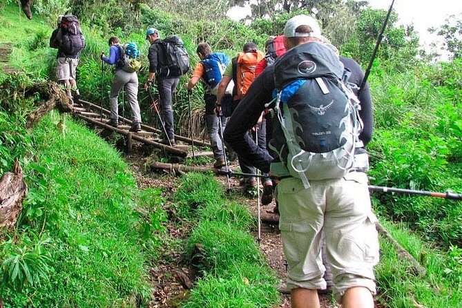 Private Full Day Hiking Experience to Marangu Route - The return to Main Gate: easy on the body, still not casual