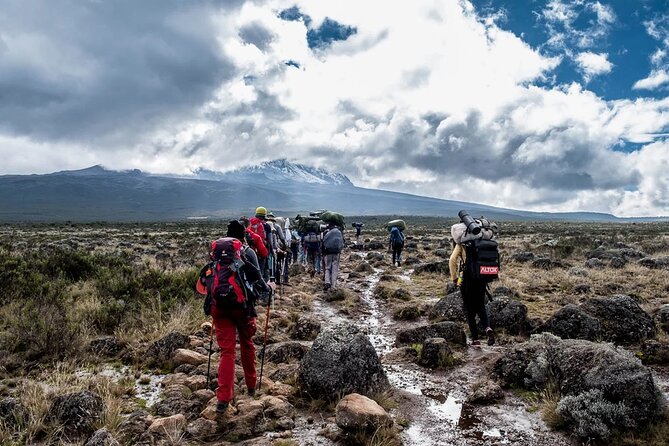 Private Full Day Hiking Experience to Marangu Route - Value check: what you’re paying for at $260 per person