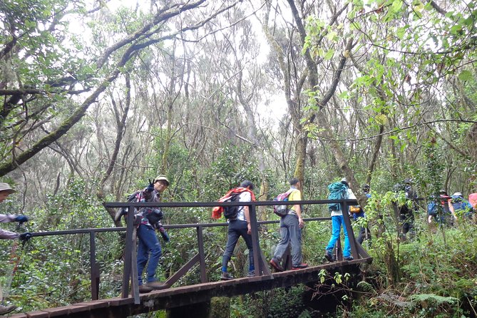 Private Full-Day Hiking Tour in Mount Kilimanjaro - Key things to know before you go